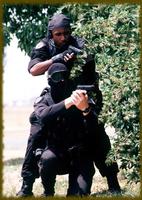 Swat Teams wallpaper syot layar 2