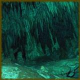 Underwater Caves wallpaper 图标