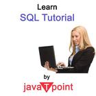 Learn SQL 아이콘