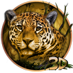 3D Domineering Jaguar Theme
