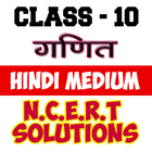 10th class math solution hindi icône