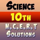 10th class science ncert solution icône