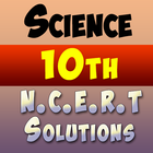 10th class science ncert solution иконка