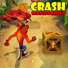 Cheat Crash Bandicoot icon