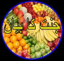 Jannat ka Bayan الملصق