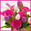 Flower Garden
