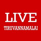 Live Tiruvannamalai icône