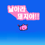날아라 돼지야~!