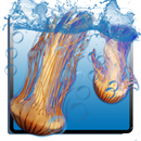 Jellyfish theme underwater APK