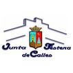 ”Junta Festera de Calles