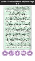 Surah Yaseen Urdu Translation โปสเตอร์