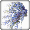 Superimpose Photo Editor : Photo Effects APK