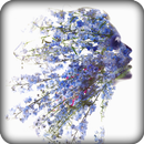 Superimpose Photo Editor : Photo Effects APK