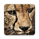JigSaw APK
