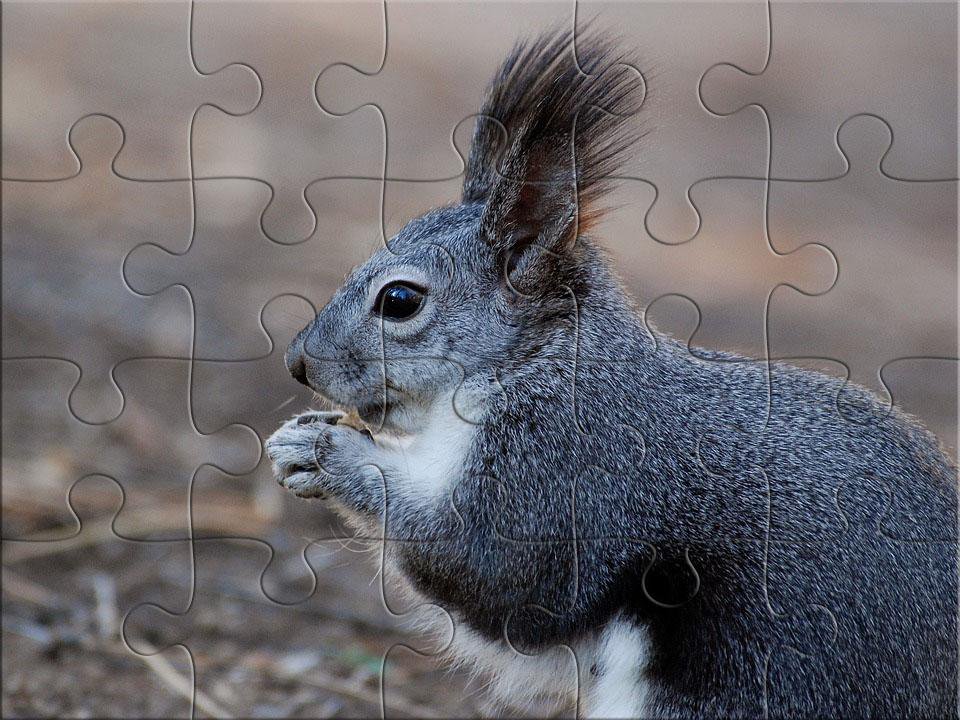 Jigsaw Puzzles Real For Android Apk Download