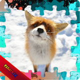 آیکون‌ Jigsaw Puzzles Foxes