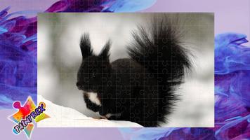 Jigsaw Puzzles Squirrels poster