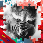 Raccoon Jigsaw Puzzle for Kids أيقونة