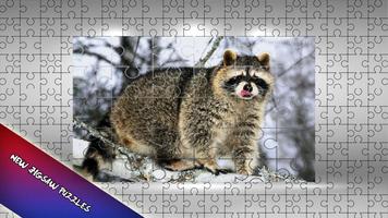 Raccoon Jigsaw Puzzle for Kids الملصق