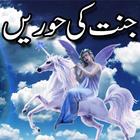 Jannat Ki Hoorain Heaven Angel ícone