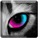 Color Splash Touch Effect APK