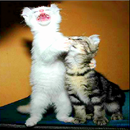 Singing Animals Unlimited APK