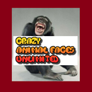 Crazy Animal Faces Unlimited APK