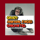 Crazy Animal Faces Unlimited icon