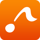 Hi-Res Music Player HYSOLID APK