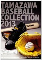 baseball　power　（ベースボール　パワー） скриншот 3