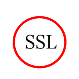 X2017 Browser SSL icon