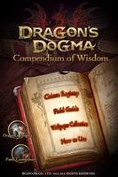 Dragon's Dogma Wisdom الملصق