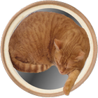 Cat's Curling-icoon