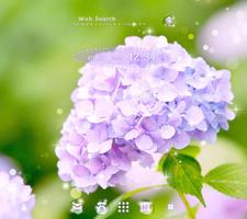 Hydrangea Affiche