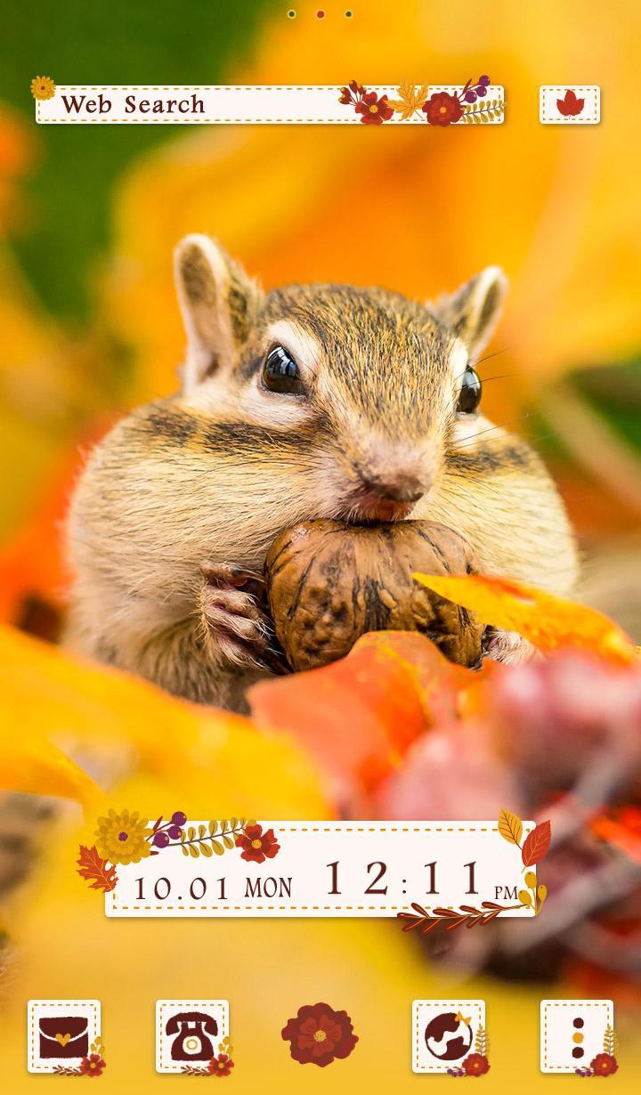 Cute Wallpaper Fall Squirrel Theme For Android Apk Download