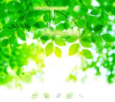 Sun Filled Spring Green poster