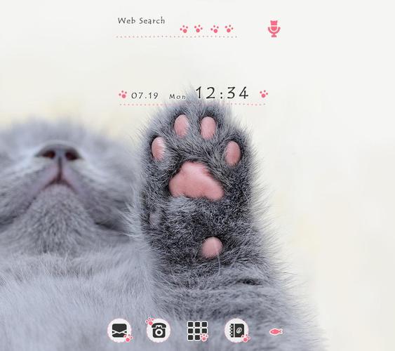 下载小猫的肉球 Home主题的安卓版本