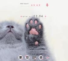 Kitty Paws Affiche