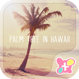 Palm Tree in Hawaii  Theme-APK