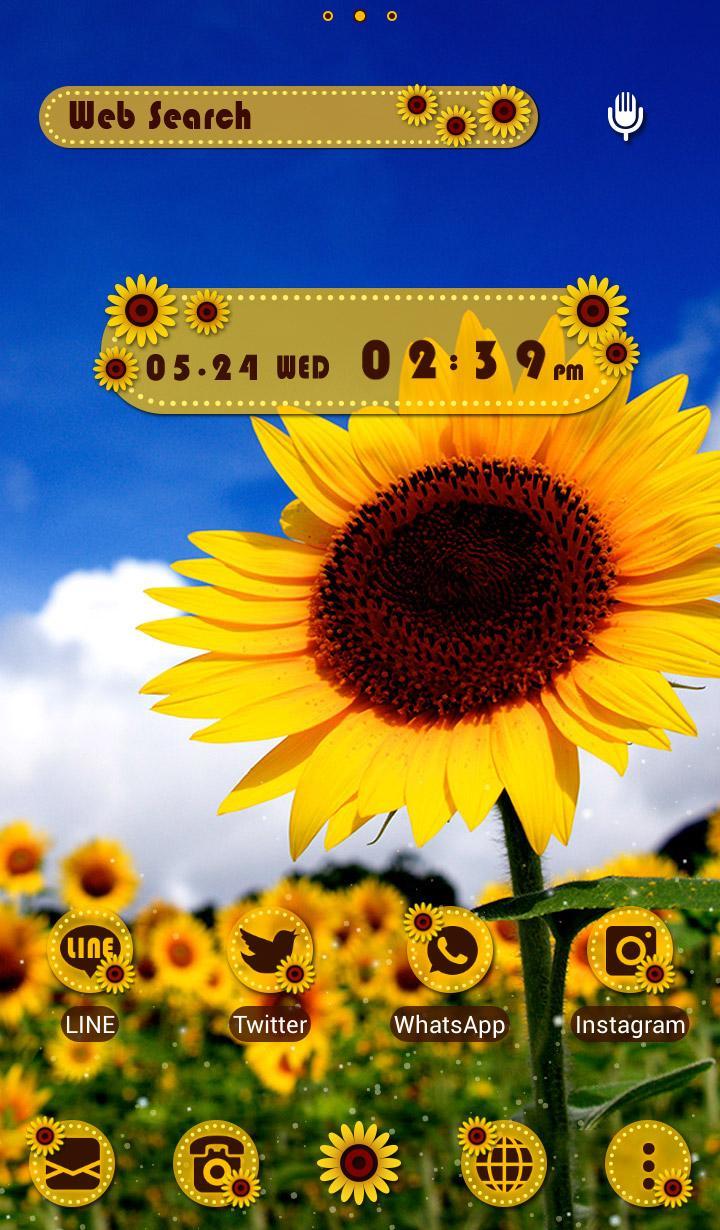 Summer Wallpaper Sunflowers For Android Apk Download