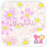 Flower wallpaper-Marguerite- aplikacja