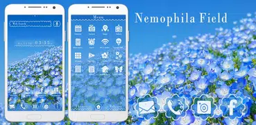 Nemophila Field Theme