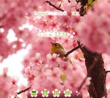 Bird & Cherry Blossoms Theme-poster