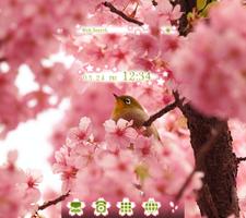 Bird & Cherry Blossoms Theme постер