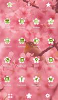 برنامه‌نما Bird & Cherry Blossoms Theme عکس از صفحه