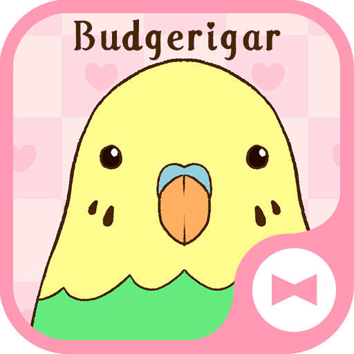 Budgerigar Theme