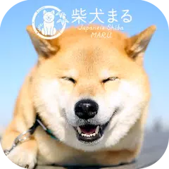Dog Wallpaper　Shiba Inu Maru APK Herunterladen