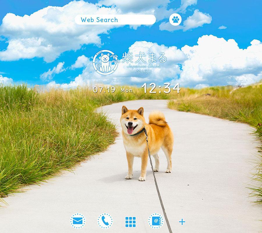 Dog Wallpaper Shiba Inu Maru For Android Apk Download