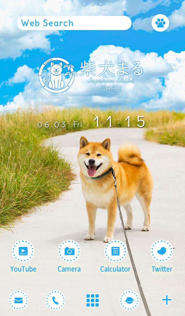 Dog Wallpaper Shiba Inu Maru For Android Apk Download