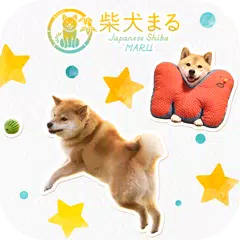 壁紙アイコン 柴犬まるのかわいいコラージュきせかえ 無料 アプリダウンロード